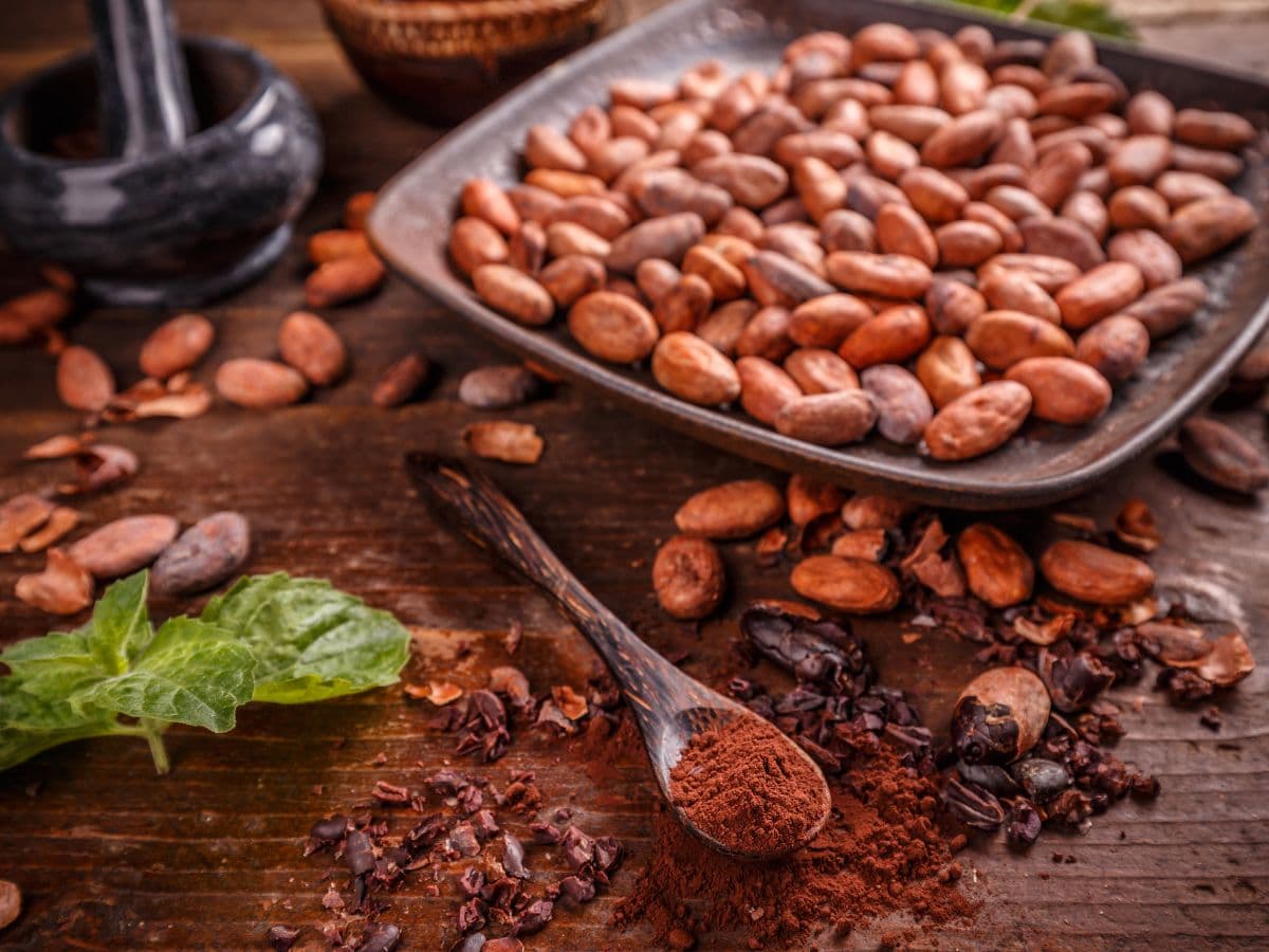 Traditions du Cacao Sacré