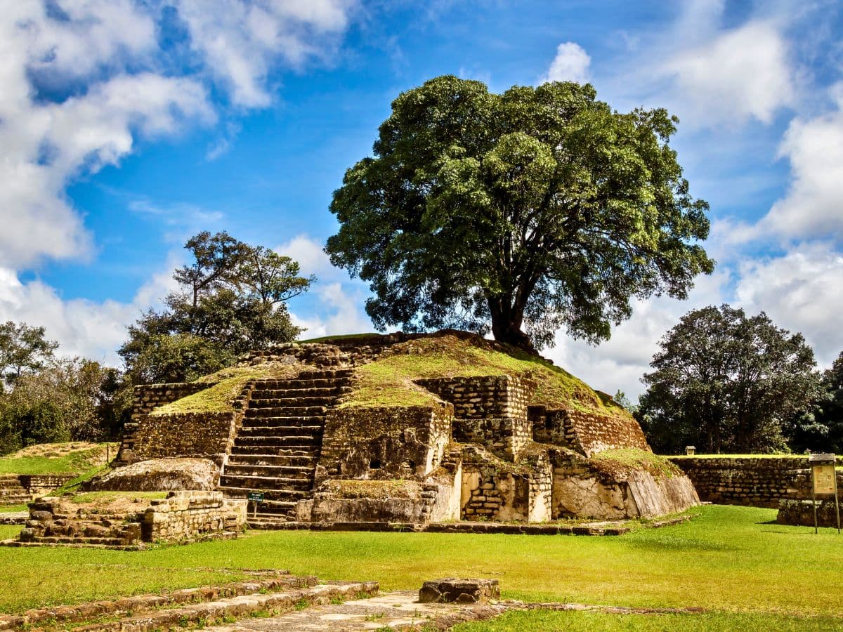 Les Derniers Royaumes Mayas