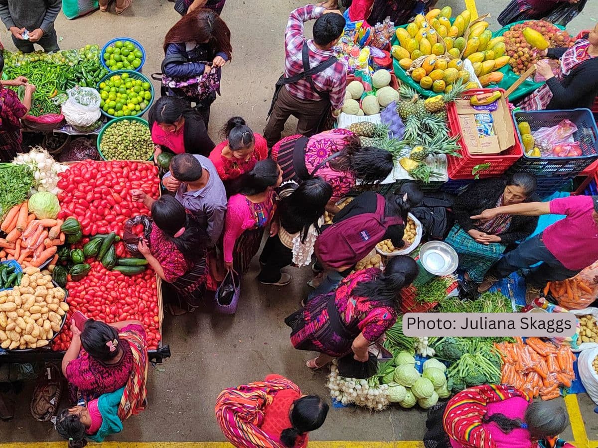 Marchés Vivants
