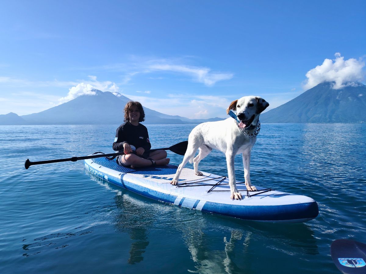 Kayak & Paddle